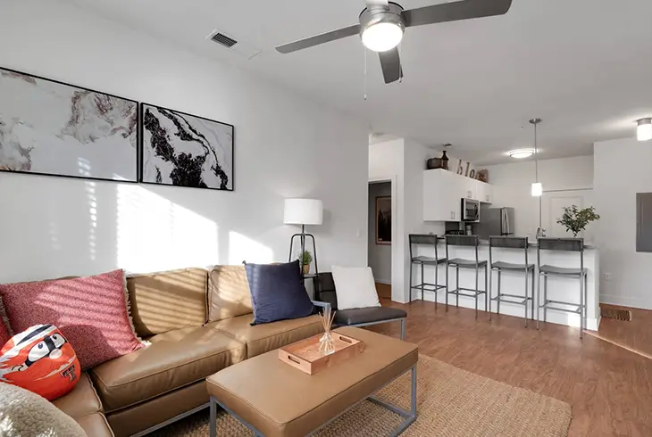 furnished living room