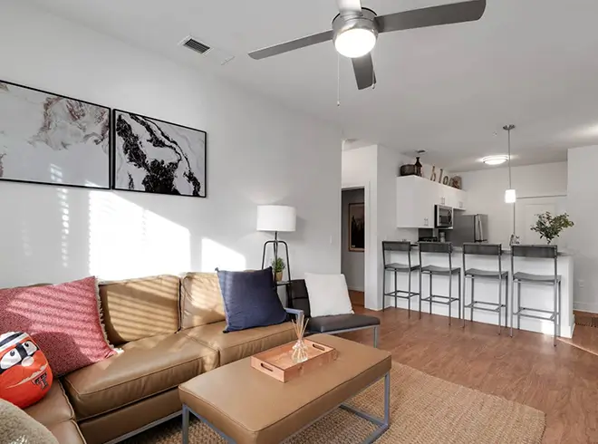 a furnished living room