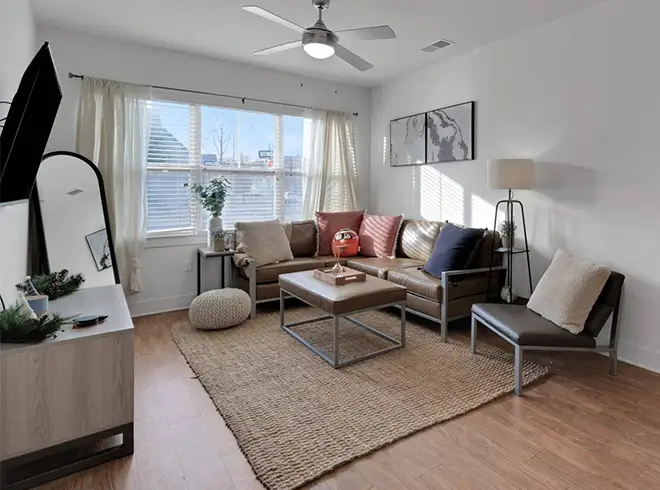 a furnished living room