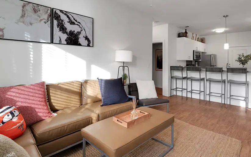 furnished living space