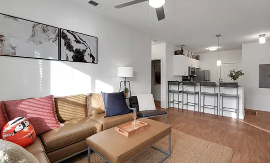 furnished living room